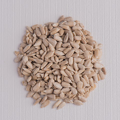 Image showing Circle of shelled sunflower seeds