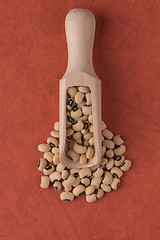 Image showing Wooden scoop with white beans