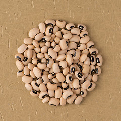 Image showing Circle of white beans