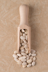 Image showing Wooden scoop with white beans