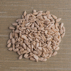 Image showing Circle of shelled sunflower seeds