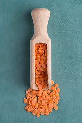 Image showing Wooden scoop with  peeled lentils