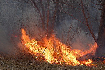 Image showing fire