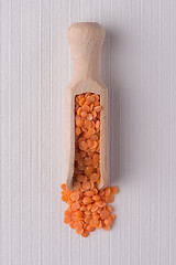 Image showing Wooden scoop with  peeled lentils