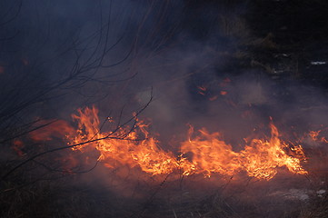 Image showing fire