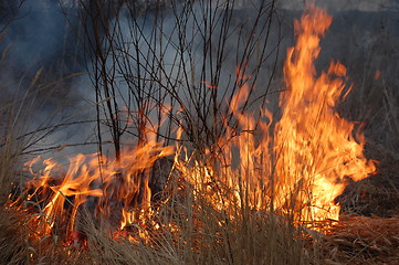 Image showing fire