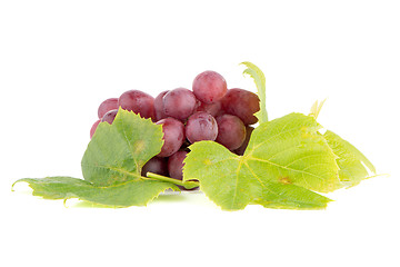 Image showing Bunch of red grapes