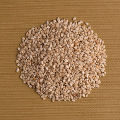 Image showing Circle of sesame seeds