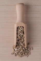 Image showing Wooden scoop with shelled sunflower seeds