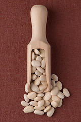 Image showing Wooden scoop with white beans