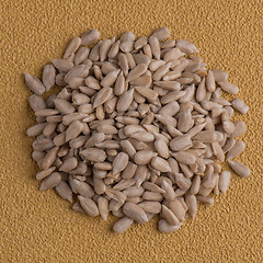 Image showing Circle of shelled sunflower seeds