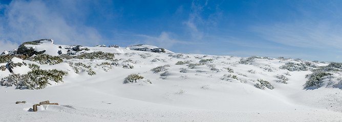 Image showing Landscape of Serra da Estrela