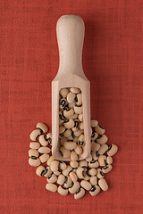 Image showing Wooden scoop with white beans