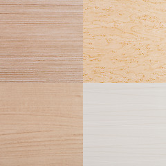 Image showing Set of beige vinyl samples