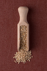 Image showing Circle of sesame seeds