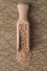 Image showing Circle of sesame seeds