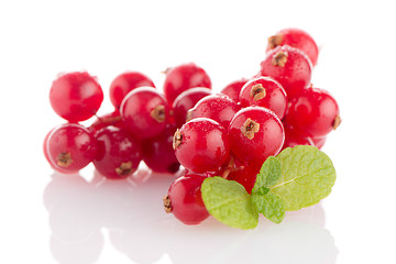 Image showing Red Currant