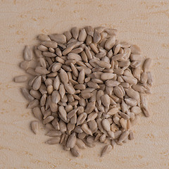 Image showing Circle of shelled sunflower seeds