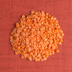 Image showing Circle of peeled lentils