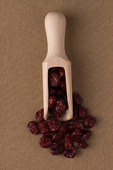 Image showing Wooden scoop with dried cranberries