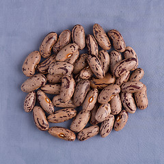 Image showing Circle of pinto beans