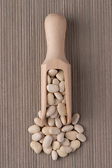 Image showing Wooden scoop with white beans