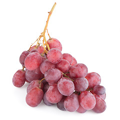 Image showing Bunch of red grapes