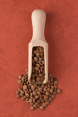 Image showing Wooden scoop with lentils