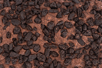 Image showing Brownie chocolate cake