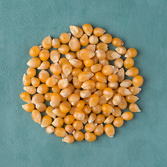 Image showing Circle of corn