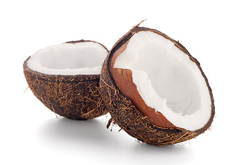 Image showing Coconut