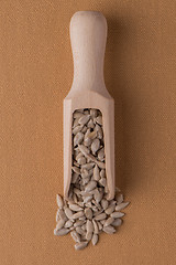 Image showing Wooden scoop with shelled sunflower seeds