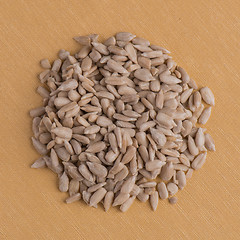 Image showing Circle of shelled sunflower seeds