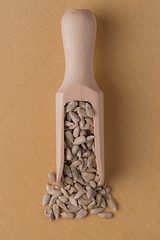 Image showing Wooden scoop with shelled sunflower seeds