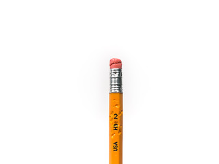 Image showing Isolated Chewed HB No. 2 Pencil