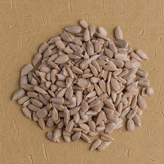 Image showing Circle of shelled sunflower seeds