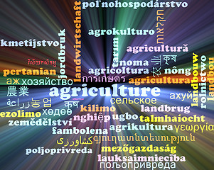 Image showing Agriculture multilanguage wordcloud background concept glowing