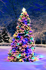 Image showing Christmas tree outside