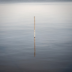 Image showing Swallow  sitting on the wooden pole