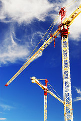 Image showing Construction cranes