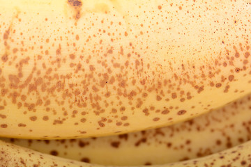 Image showing Extreme  close-up of ripe banana peel. Texture showing brown spots on yellow background.