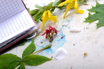 Image showing Blank paper notebook on white vintage background with scrapbooking elements