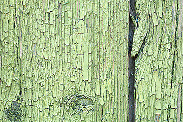 Image showing Dark green wood. Natural texture background