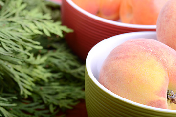 Image showing Nectarines, strawberries, peach and apricots with green branch