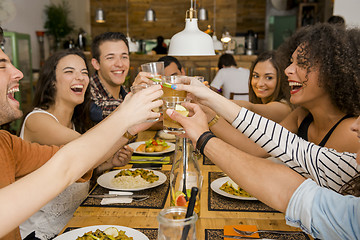 Image showing Friends having a toast