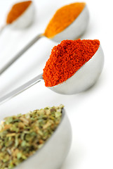 Image showing Spices in measuring spoons