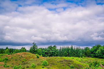 Image showing Cloudy weather over green trees