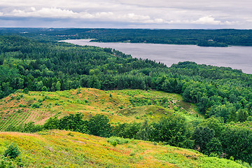 Image showing Green landscape with a lake in Denmark