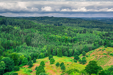 Image showing Danish landscape with green trees