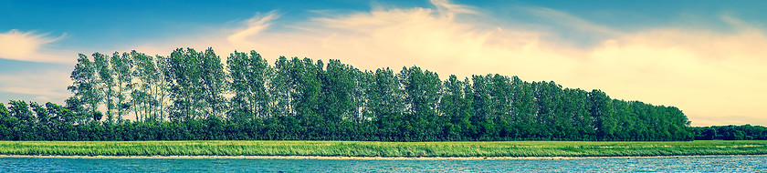 Image showing Panorama beach landscape with trees on a row